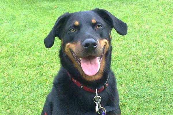 Kyla, one of our happy patients Kyla, one of our happy patients